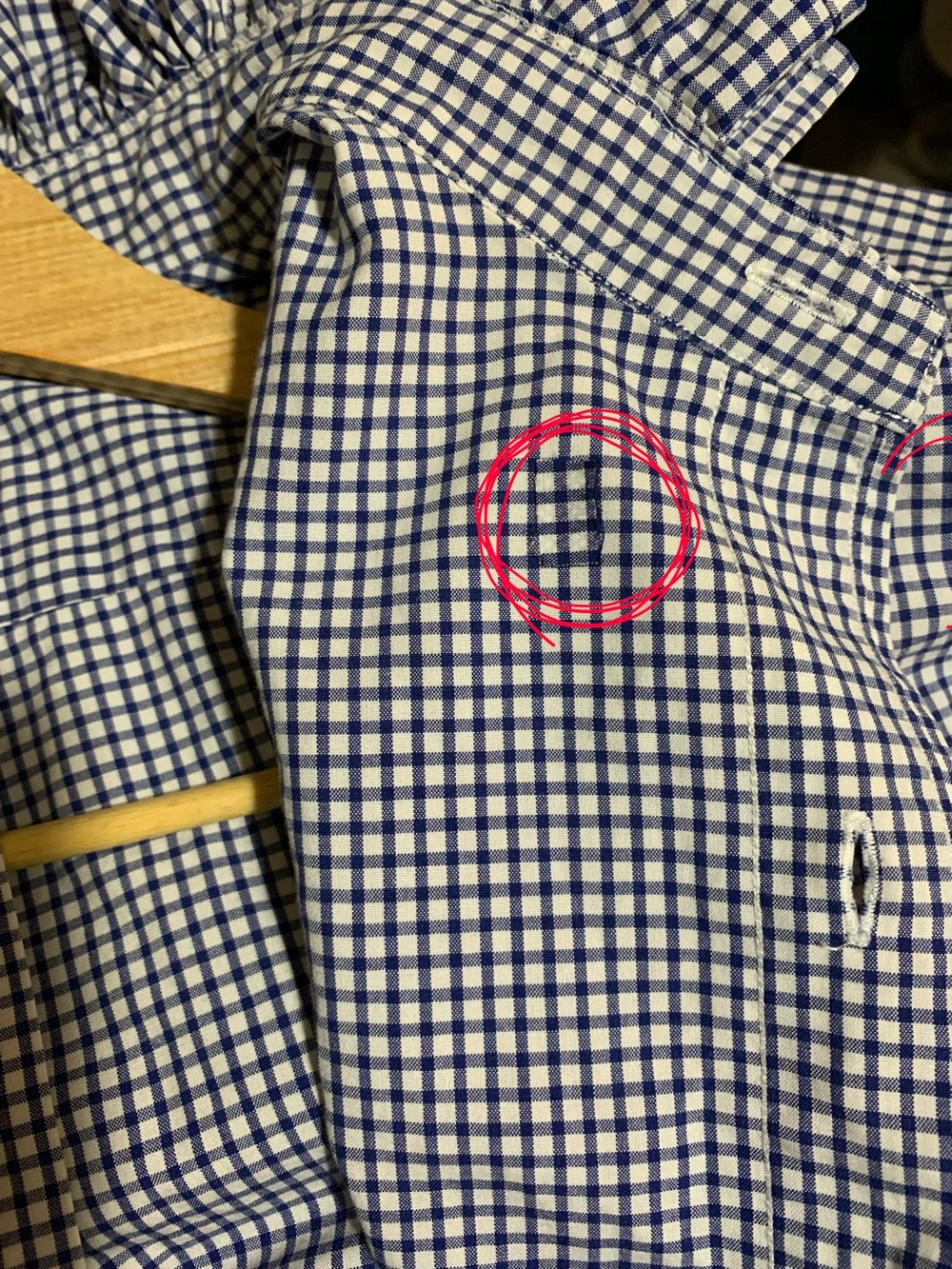 Ralph Lauren Navy and White Gingham Button-Down Shirt with Red Pony - Picture 7 of 7